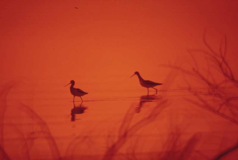 Nghệ thuật Kết&nbsp;nối